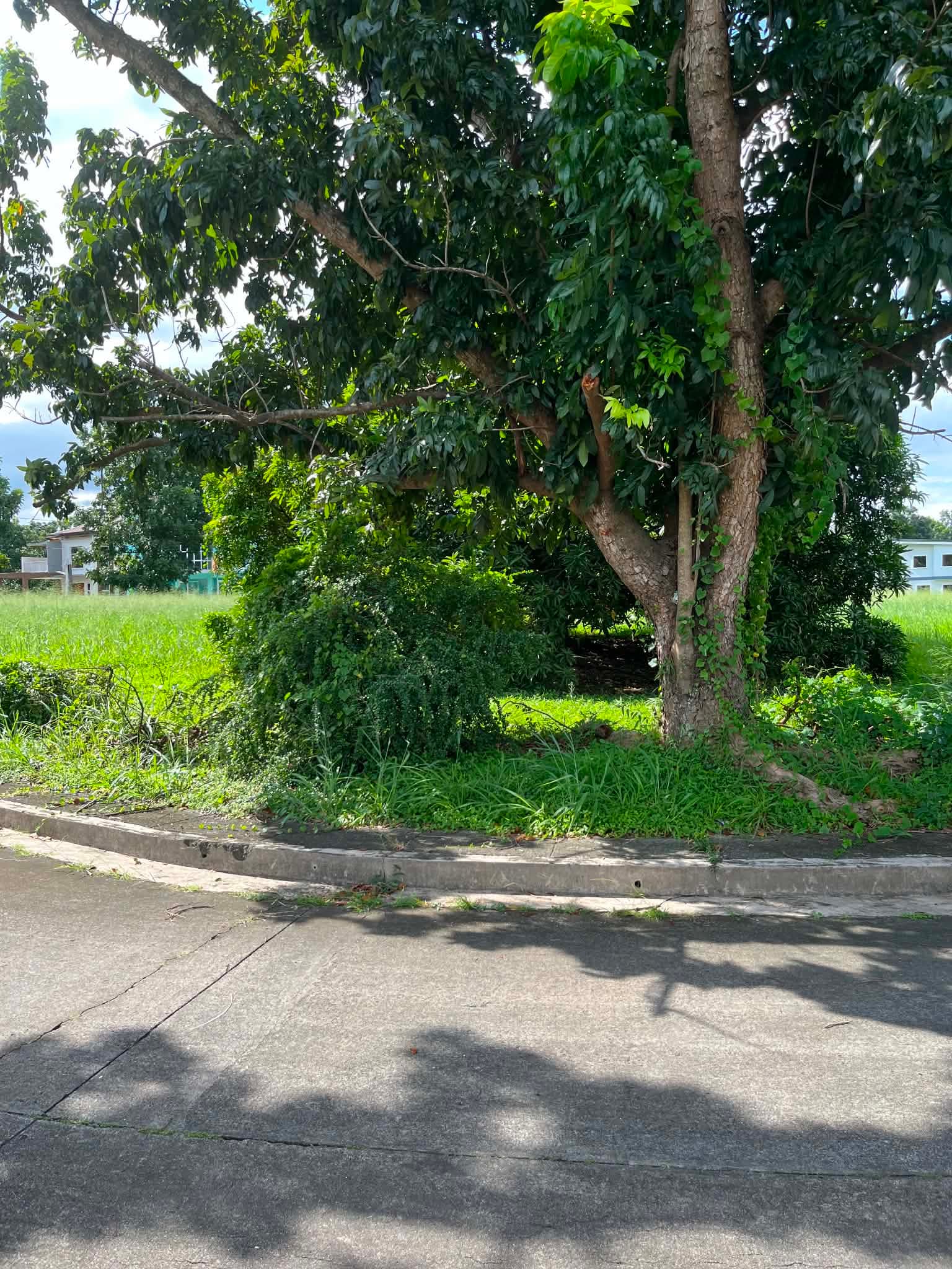 Lot For Sale in Carmel Ridge Subdivision